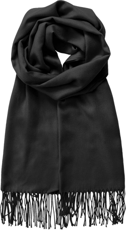 Soft Pashimina Feel Shawls and Wraps Elegant Cashmere Scarfs for Women Stylish Warm Blanket for All Season One Size Wsk2091_black