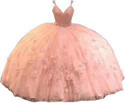 Floral 3D Flowers Applique Lace Quinceanera Dresses Sweet 16 Girls Ball Gowns Tulle Women Dress 2025 2 Light Pink