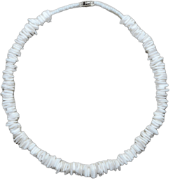Native Treasure Mens and Womens Tropical Summer Beach Surfer Necklace From the Philippines White Rose Clam Chips Ark Shells 17.0 Inches