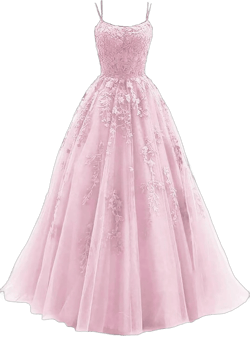 Women's Spaghetti Straps Tulle Prom Dress 2024 Long Lace Appliques Ball Gowns Backless Evening Formal Dress 14 Pink