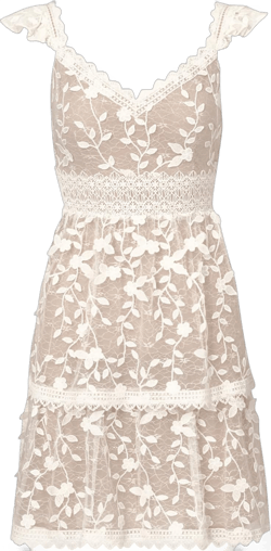Adrianna Papell Women's Lace Embroidery Flutter Dress 6 Ivory/Nude