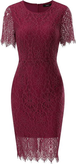 ALLANDWELL Women's Elegant Floral Lace Fixed V Neck Fluttering Short Sleeves Knee Length Dress Small 931a-1-8 Wine