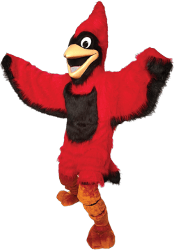 TCDesignerProducts Friendly Cardinal Mascot Costume, School Spirit Sports Fan Gear, Football Cheerleader Accessories, Homecoming