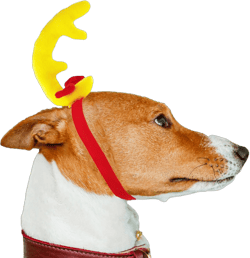 Reindeer Antlers Headband, Reindeer Costume for Halloween Christmas Headbands Deer Antlers Headband, Dog Reindeer Antlers Dog Reindeer Costume, Reindeer Headbands Antler Headband(1 Count)