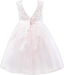 PLUVIOPHILY Lace Applique Tulle Flower Girl Dress Junior Bridesmaid Wedding Party Dresses