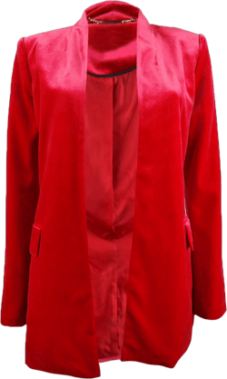 Calvin Klein Women's Long Velvet Blazer (10, Red)
