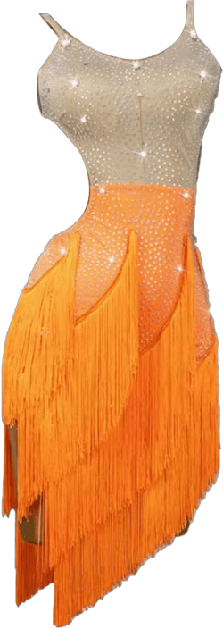 Latin Dance Skirts for Women Irregular Fringe Cha Cha Competition Dancewear Salsa Dancing Outfit Ballroom Dance Dresses Large B