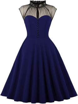 Women Mesh Floral Embroidery Vintage Cocktail Swing Dress Illusion 50s Goth Flared A line Casual Wedding Prom Evening Dress Small Royal Blue