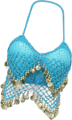 Sequin Crop Top Belly Dance Costume,Glitter Bra Tops for Club Party Adult Women Rose Red