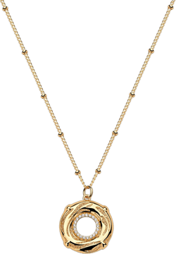 Dremmy Studios Gold Animal Necklace,14K Gold Plated Dainty Simple Cubic Zirconia Butterfly Pendant Chain Handmade Everyday Minimalist Jewelry for Women Circle-Thick