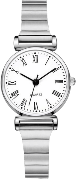 Reginald Women's Bracelet Watch Stainless Steel Sports Fashion Quartz Watch Business Watch White1