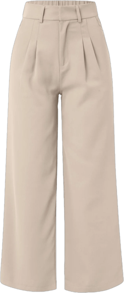 Baocc Wide Leg Pants for Women, Women Wide Leg Pants for Women Work Business Casual High Waisted Dress Pants Flowy Trousers Office Women's Pants Beige