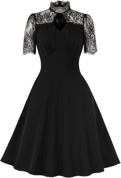 Women 1950s Vintage Keyhole Mesh A Line Midi Pleated Swing Cocktail Party Dress XX-Large Black Short Sleeve Lace