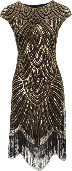 Roaring 20s Costumes Women 1920s Dresses Gatsby 1920s Flapper Vintage Fringed Costume Sequin Party Dress X-Large Black Gold 2