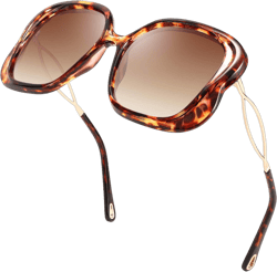 FEISEDY Oversized Butterfly Sunglasses for Women Fashion Charming Ladies Sunglass B2705 Leopard 54 Millimeters