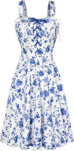 SCARLET DARKNESS Women's 2024 Summer Floral Sundress Knee Length Fit and Flare Sleeveless Casual Dress Blue Floral 2XL