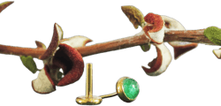 Tiny Titanium Genuine Gemstone Aventurine Bezel Threadless Push Pin Labret Stud Tragus Cartilage Lip Piercing Jewelry Hypoallergenic Handmade in US (8mm post length (REGULAR), Real 18K Gold Plated) 8mm post length ( REGULAR) Real 18K Gold Plated