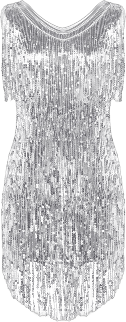 MSemis Women's Flapper Dresses Sequin Tassel Salsa Latin Dance Dresses 1920s Cocktail Dresses Silver XX