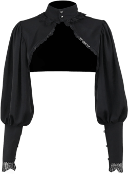 Women's Sexy Lace Trimmed Sheer Mesh Blouse Short Length Dark Gothic High Neck Camisole Top Blanket Shawl Large Black
