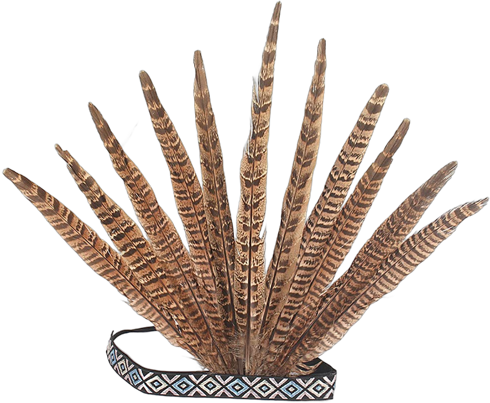 Pheasant Feathers Headband Burlesque Fascinator Headpiece Mardi Gras Crown Headdress Carnival Costumes Outfit for Women Caribbean Fancy Party, Medium