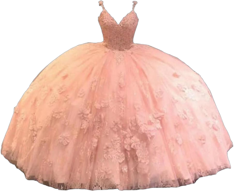 Floral 3D Flowers Applique Lace Quinceanera Dresses Sweet 16 Girls Ball Gowns Tulle Women Dress 2025 14 Light Pink