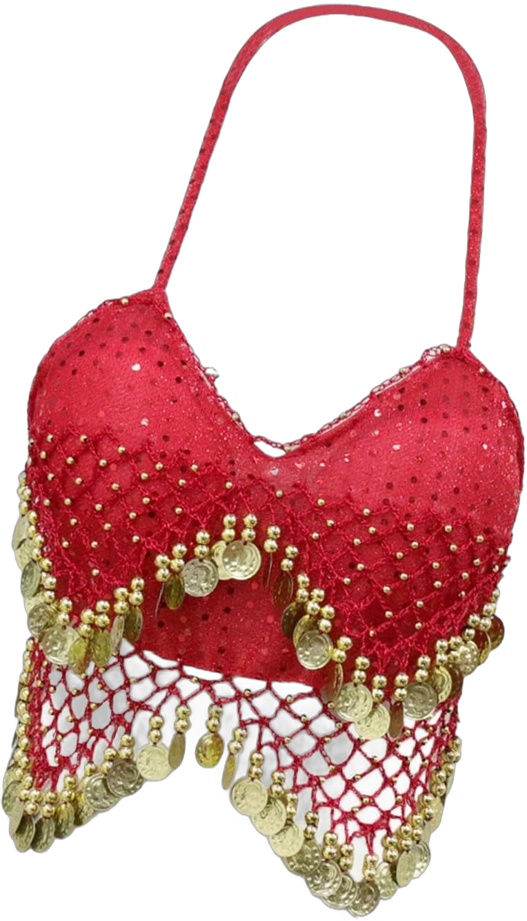 Sequin Crop Top Belly Dance Costume,Glitter Bra Tops for Club Party Adult Women Red