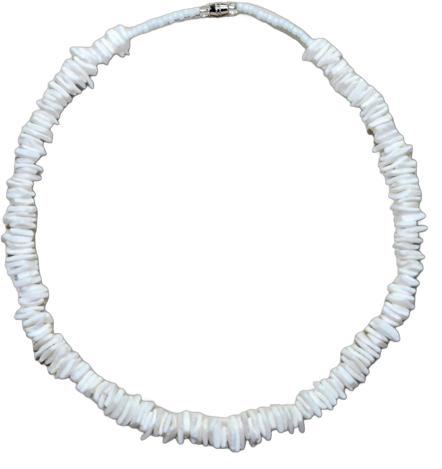 Native Treasure Mens and Womens Tropical Summer Beach Surfer Necklace From the Philippines White Rose Clam Chips Ark Shells 16.0 Inches