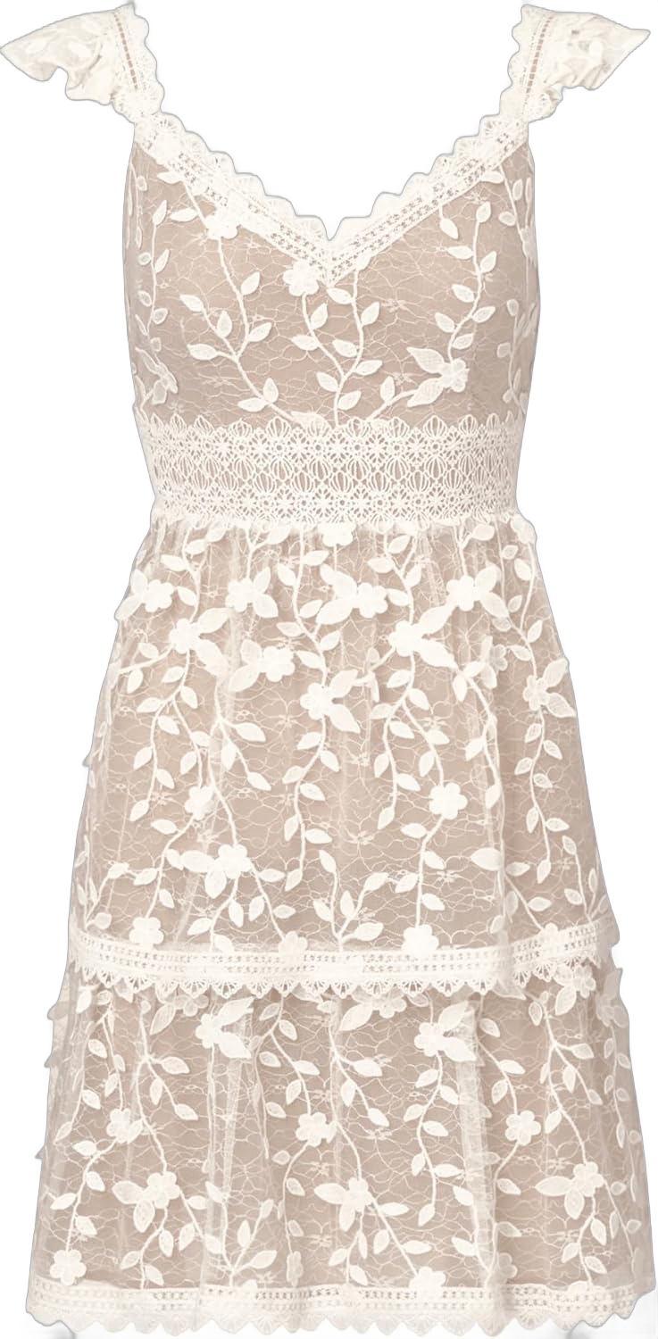 Adrianna Papell Women's Lace Embroidery Flutter Dress 6 Ivory/Nude