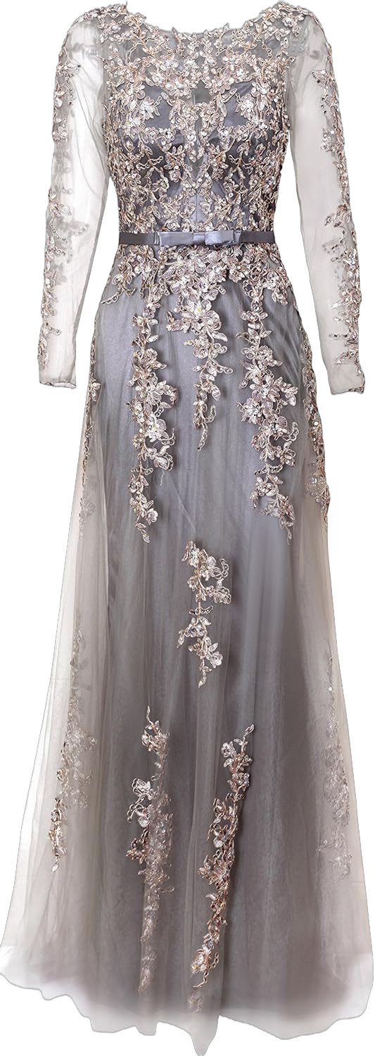 Meier Women's Illusion Long Sleeve Embroidery Prom Formal Dress 4 Silver Grey