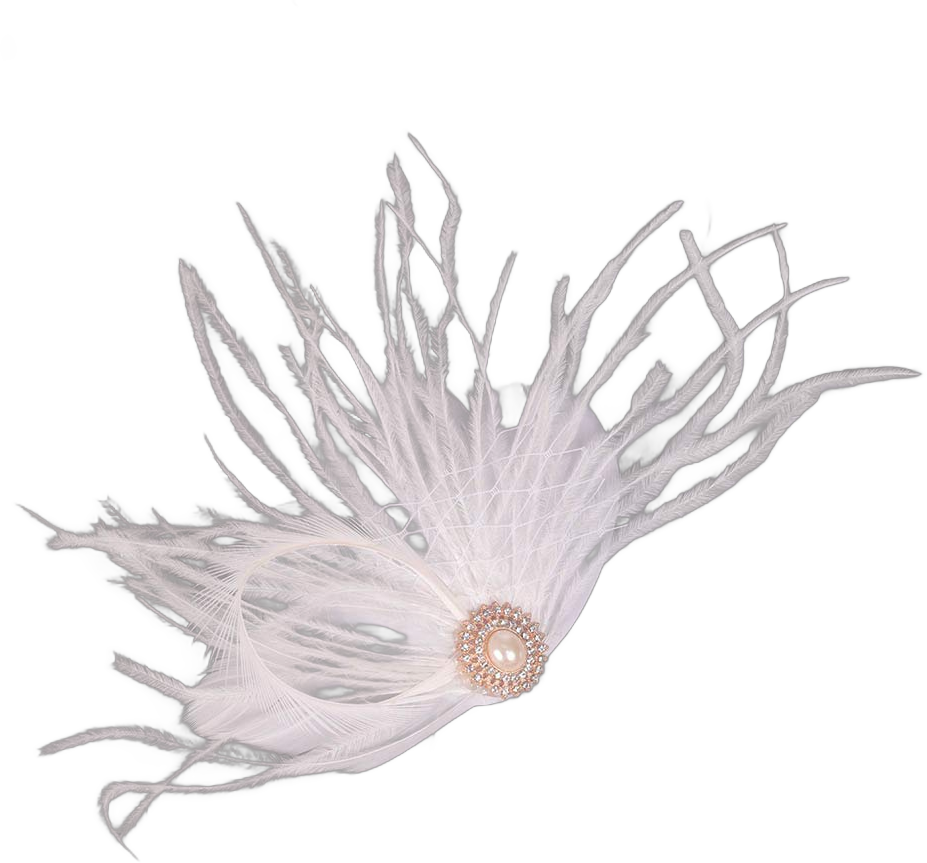 Aimimier 1920s Feather Hair Clip with White Birdcage Veil Pearl Peacock Feather Fascinator Flapper Headpiece for Women