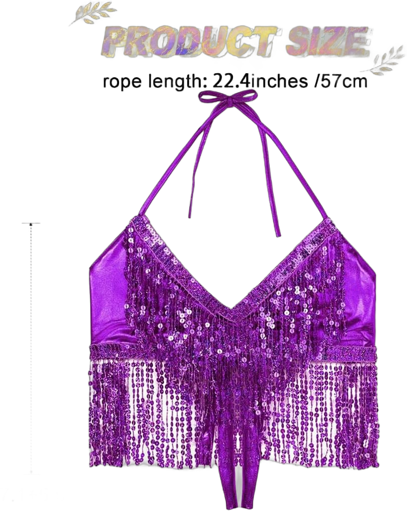 Sparkly Sequins Top Tassel Halter Tops Belly Dance Bra Top Glitter Crop Top for Women Purple