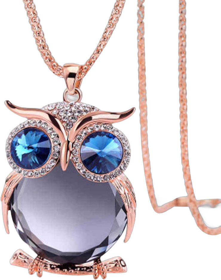 ociviesr xiangDd Women Simple Owl Rhinestone Pendant Necklace Long Necklace