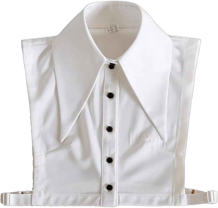 DNLKWGO White Dickey Collar Blouse Big Pointed Collar Half Shirt Detachable False Collar Blouse for Women Medium Plus A-white