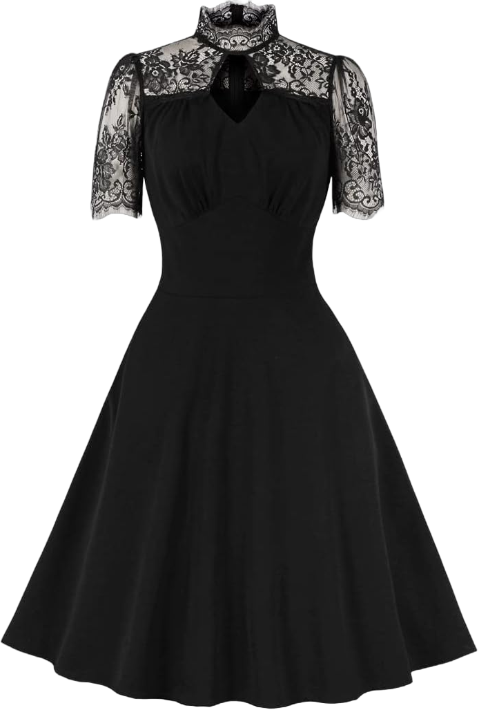 Women 1950s Vintage Keyhole Mesh A Line Midi Pleated Swing Cocktail Party Dress XX-Large Black Short Sleeve Lace