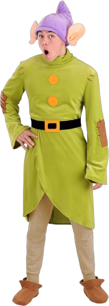 HalloweenCostumes.com Large  Men  Disney Snow White Adult Dopey Dwarf Costume Mens, Green Seven Dwarfs Halloween Outfit., Black/Purple/Green