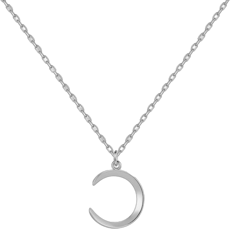 Sora Tuki Gold Snake Necklace Silver Snake Pendant Necklace Layered Snake Necklace for Women Serpent Gold Necklaces for Women Trendy Necklace Dainty Snake Jewelry J: silver dainty moon