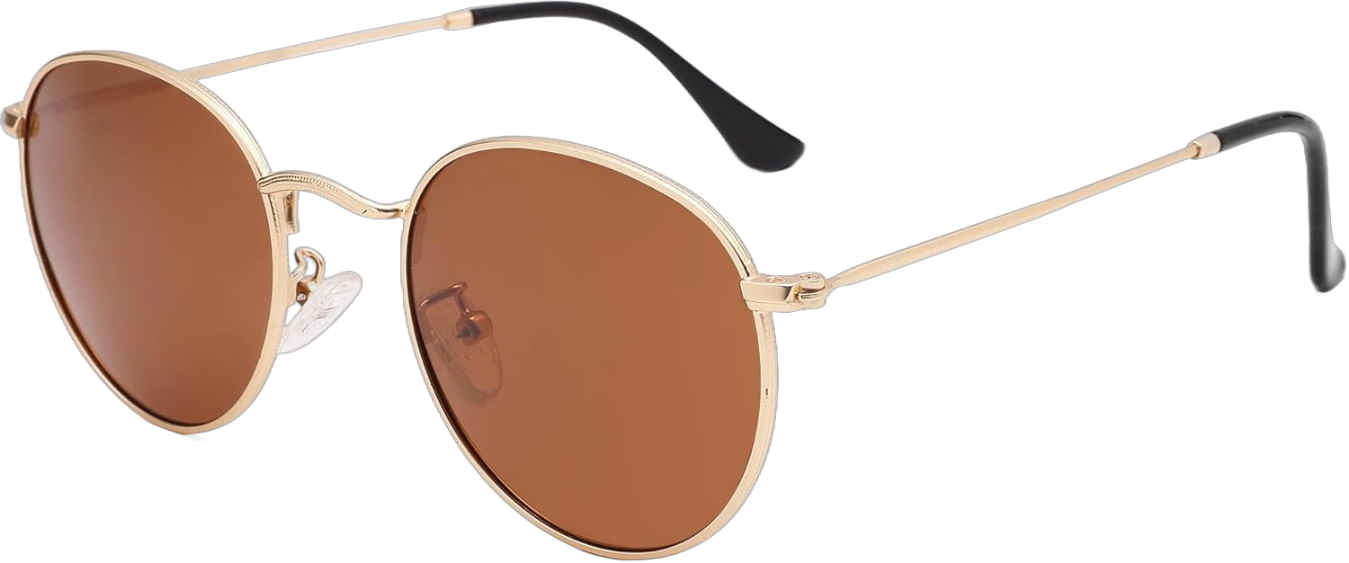 LIU·WEN Small Round Polarized Sunglasses - Classic Retro Circle Metal Frame Sun Glasses for Women Men A5 Gold Frame/Brown Lens 50 Millimeters